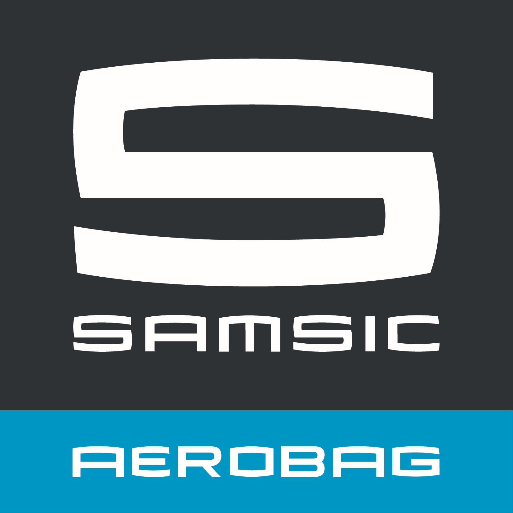SAMSIC ASSISTANCE AEROBAG